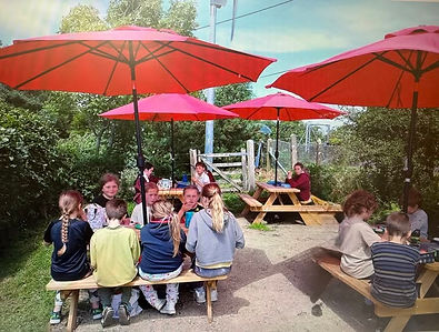 marshwood Picnic Benches.jpg