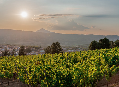 0022_IMG_4618-HDR-2.jpg