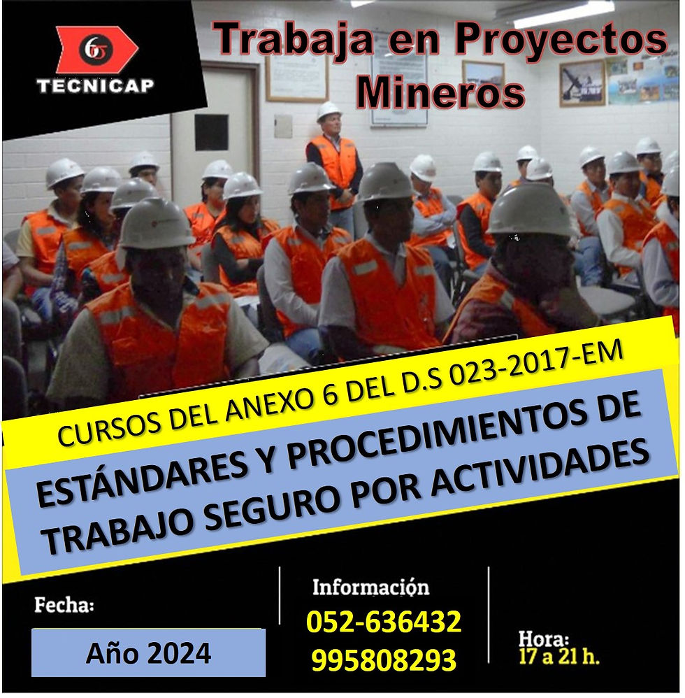 ESTÁNDARES Y PROCEDIMIENTOS DE TRABAJO SEGURO POR ACTIVIDADES