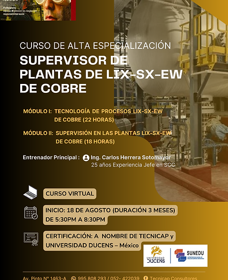 Documento A4 Explicativo Brochure Curso de Marketing Moderno Gradiente Rosa Oscuro (12).pn