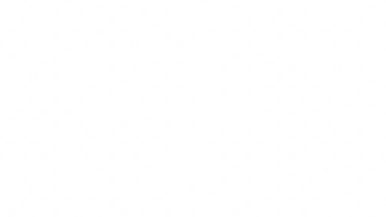 Pattern Branca.png