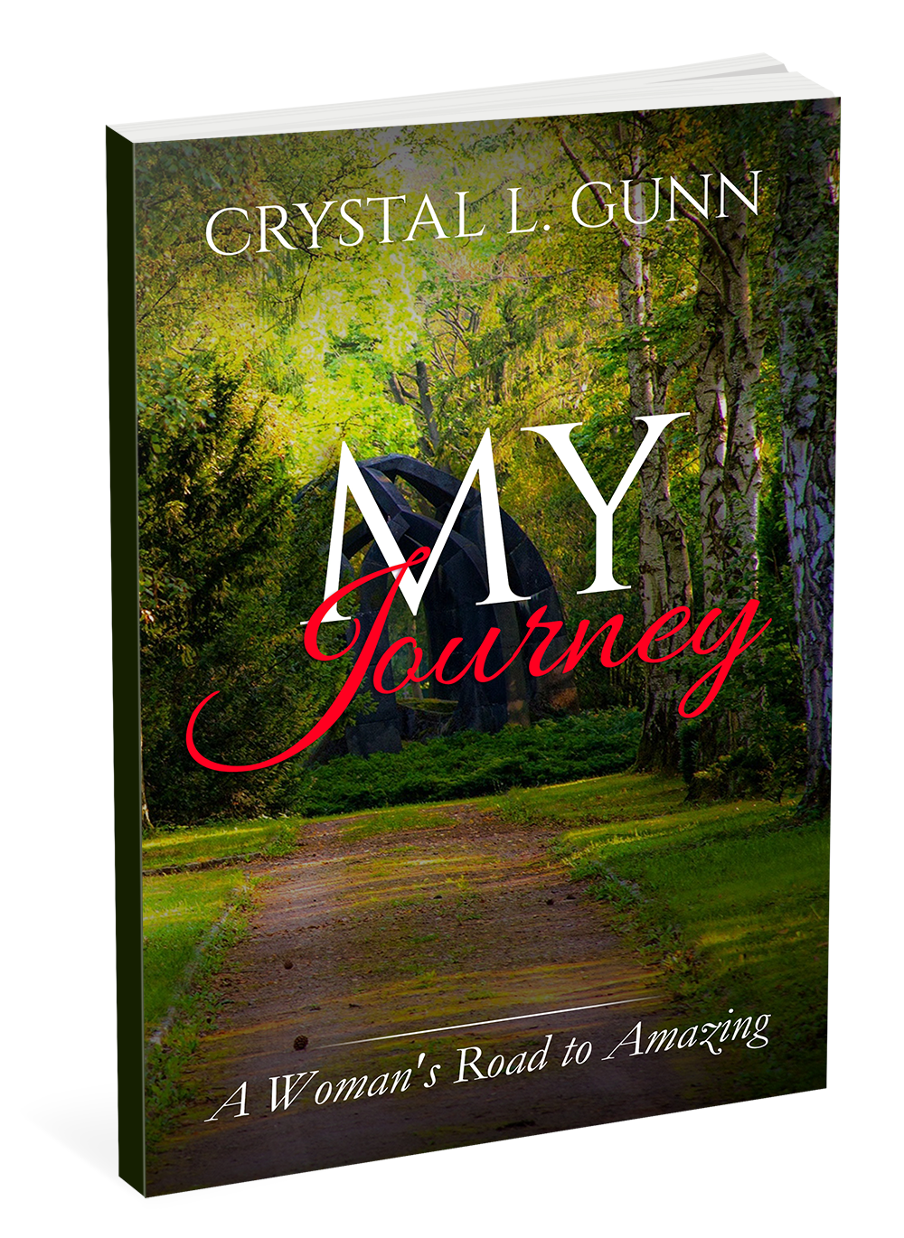 My Journey - A Woman's Road to Amazing (Journal)