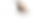 Screenshot 2025-03-15 at 9.33.58 AM.png