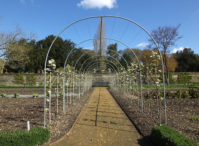 13. Fruit Arch