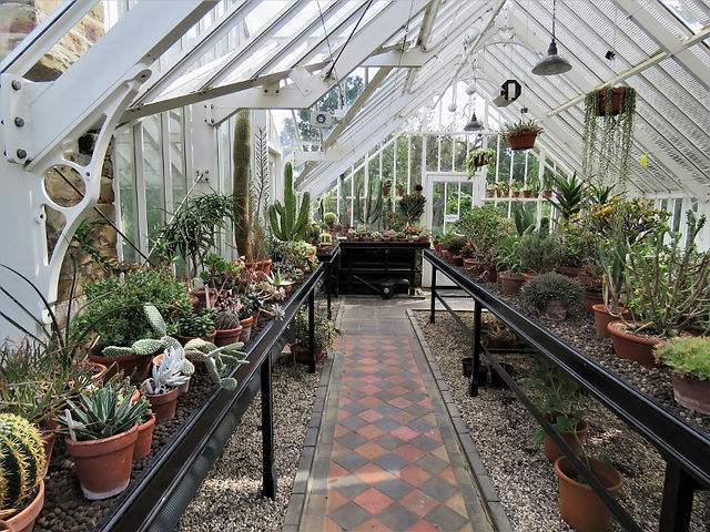 5. Glasshouse A