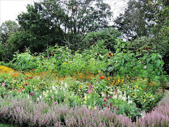 8. Annual Bed