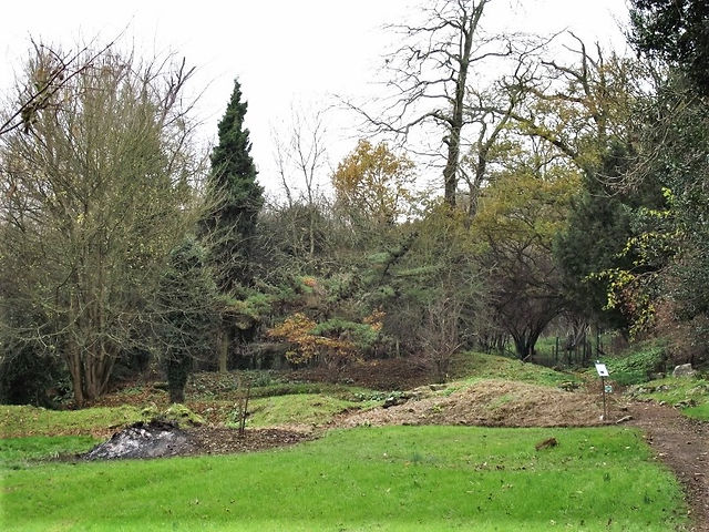 12. Rock Garden - Nov 2010