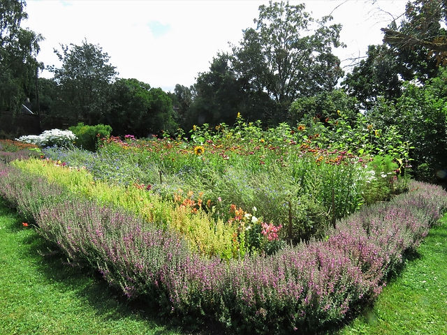 16. Annuals Bed