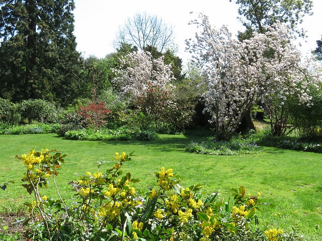 12. Front Lawn