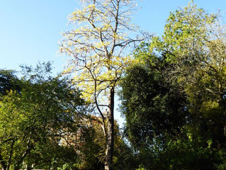 News and Views No 10 October 2025