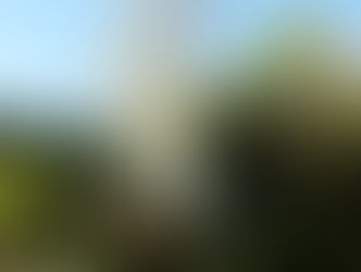 News and Views No 10 October 2025