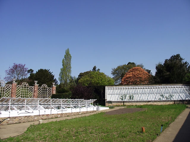 13. Bed in Front of Peach House