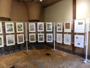 The E.A. Bowles Exhibition at Myddelton House