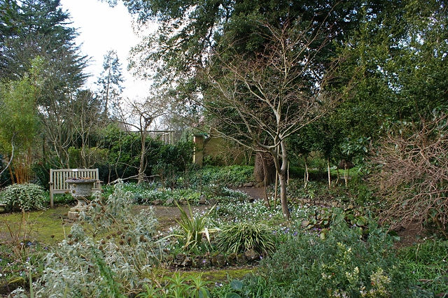 4. Wild Garden
