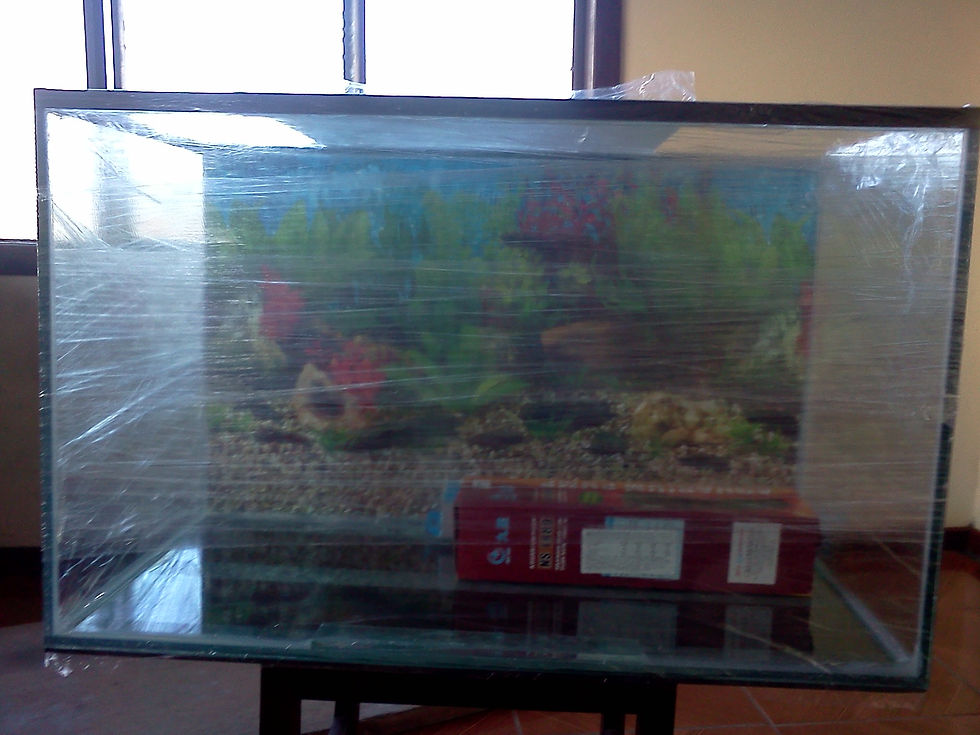 80x40x50 = 160 lts