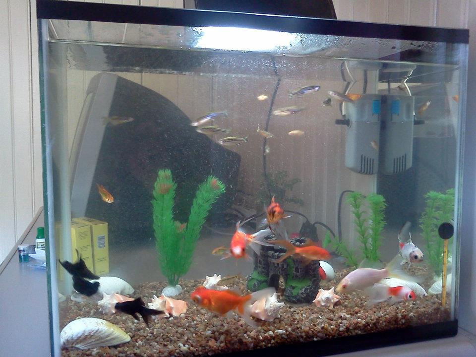 60 lts agua fria João