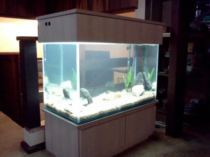 Aquario Sr Anderson