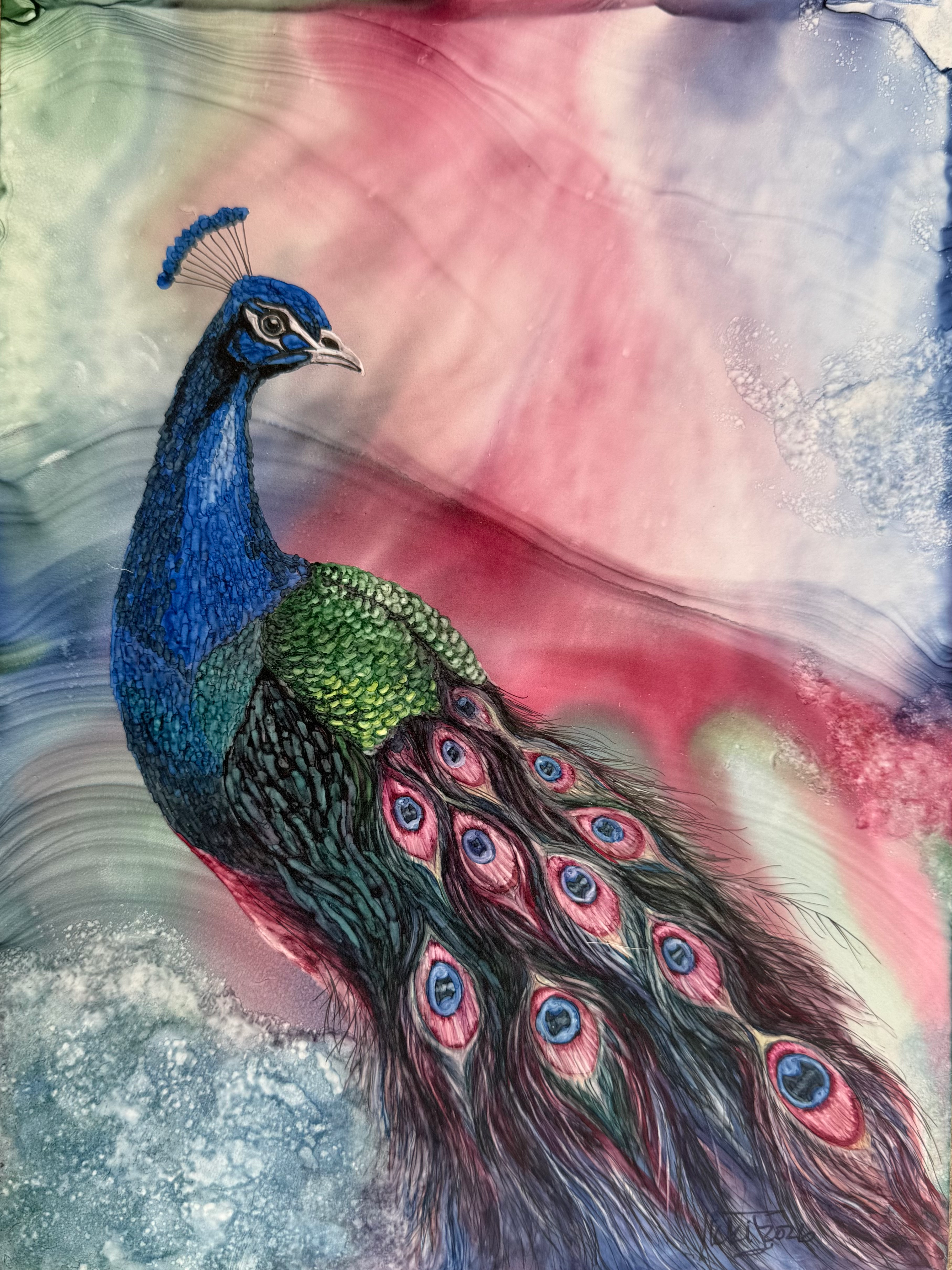 Living Color – Peacock Fine Art Print