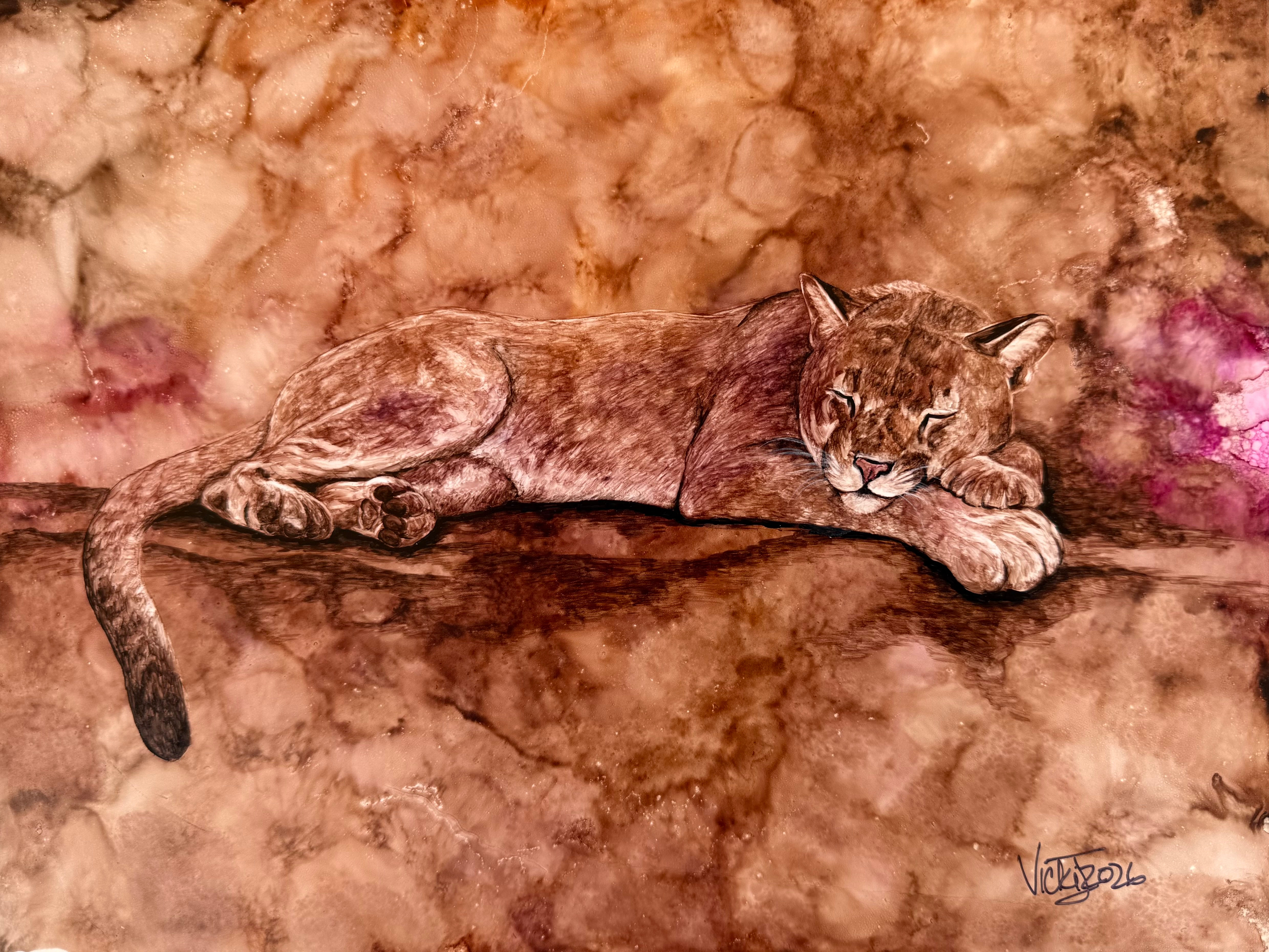 Sleepy Kitty – Mountain Lion Fine Art Print