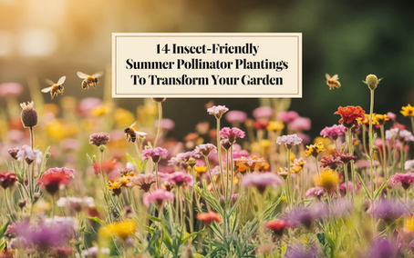 14 Insect-Friendly Summer Pollinator Plantings to Transform Your Garden