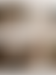 12 Summer Wedding Dresses Trending for Brides in 2026