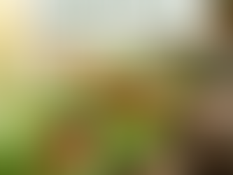 9 Apartment-Friendly Vegetables to Grow Indoors