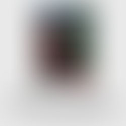 No Matter What by Cara Bastone Book Review