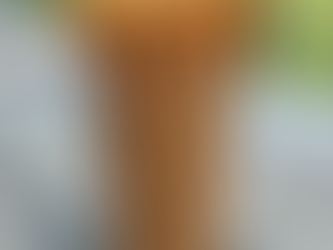 Homemade Pumpkin & Oatmeal Dog Snack Sticks: A Superfood Treat Your Pup Will Beg For