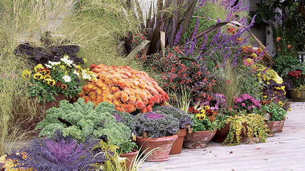 Stunning Fall Container Displays