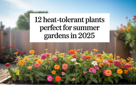 12 Heat-Tolerant Plants Perfect for Summer Gardens in 2025