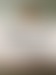 10 Kitchen Trends in 2026 to Pay Attention To