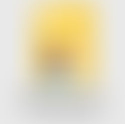 The Book Tour by Emily Ohanjanians Book Review