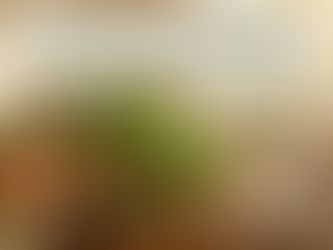 9 Plants You Should Bring Indoors Before Frost Hits