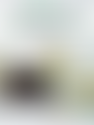 13 St. Patrick’s Day Desserts That Are Fun, Festive & Green (2026 Edition)