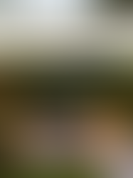 10 Garden Trends in 2026 to Pay Attention To