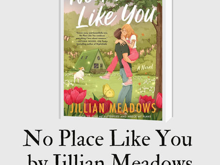 No Place Like You by Jillian Meadows Book Review