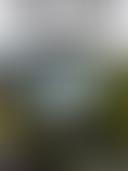 Shrek 2 (2004) Movie Review – The Rare Sequel That Might Be Better Than the Original