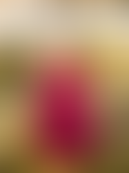 12 Beautiful Mother’s Day Dresses for Every Body Type