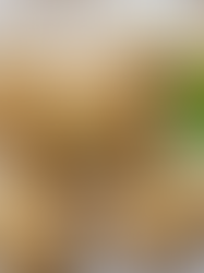 Homemade Dog Dental Treats You Can Make at Home: A Love Story for Your Dog's Smile