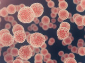 DRIVING RESEARCH: JKTG-FUNDED PROJECT CREATES "VIRTUAL CELL LAB" AS TESTING GROUND FOR FUTURE RESEARCH WITH LIVE CELLS