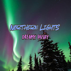 ALBUM ART Dreamy Husky - Northern Lights
