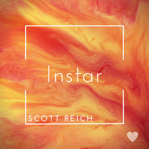 Scott Reich - Instar
