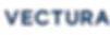 vectura-logo-fullColour-rgb.jpg