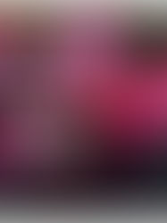 Fighting and Beating Cancer is not a walk in the Park