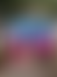 It's Better Than the Alternative