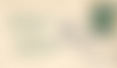 The Bottom of the Ticket Should Be Your Top Priority. Top 5 Reasons to Cast a Ballot in Your Local E