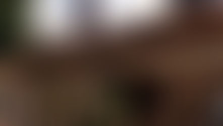 ２階に上がらなくても済むよう、１階の増築工事を承りました。(市原市)