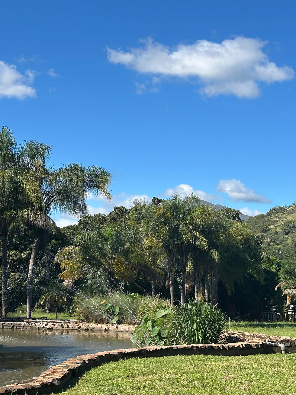Cranko's Creek Outside 2