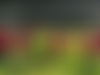 Under 6's enjoy their time at the Beach!