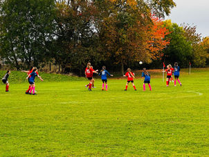 Cottenham Colts Weekend Round-Up